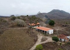 Fazenda em Ingá-PB com 150ha