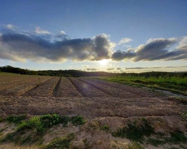 Lote/Terreno para venda com 1000 metros quadrados em Cachoeira - Cotia - SP