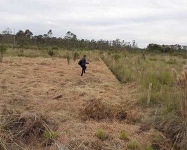 Lote/Terreno para venda possui 1050 metros quadrados em Vila Ipiranga - Mogi das Cruzes