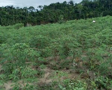 Terreno bem localizado com igarapé