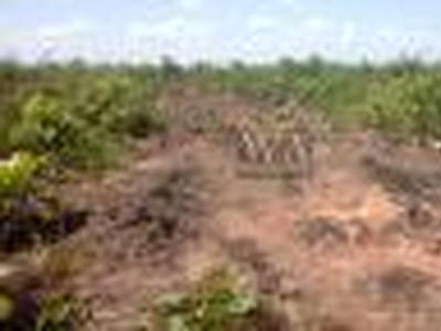 Fazenda excelente para agricultura no Tocantins