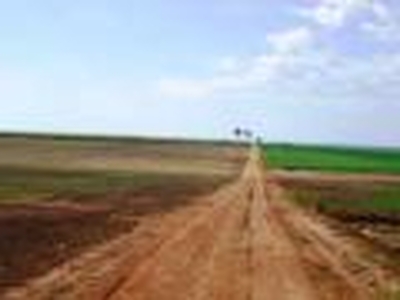 Fazenda para Graos no Tocantins - (6156)