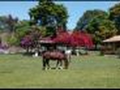 Haras pousada de 12 Hectares em Caxambu/MG