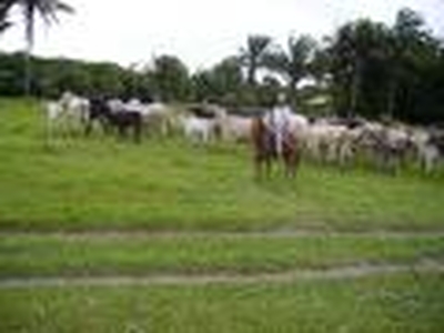Terreno para Eco Resort com 460 ha em Caravelas, no sul da Bahia