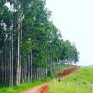 otimo terreno de 3 Hectares em Baependi/MG