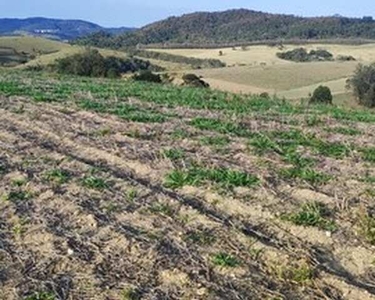 Lote/Terreno para venda tem 1000 metros quadrados em Jardim Colonial - Atibaia - SP