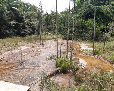 Terreno com igarapé