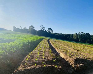 Terrenos Para Construir seu Condomínio em Ibiúna - SP