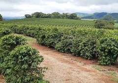 fazenda 200 hectares de café no Municipio de Machado 13.500,000,00