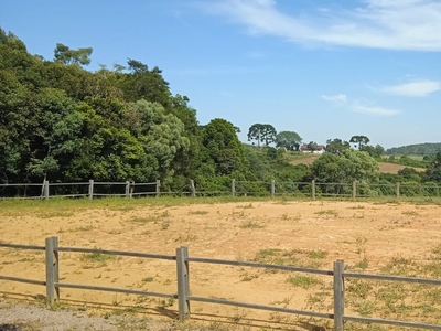 Terreno em Centro, São José dos Pinhais/PR de 8000m² à venda por R$ 228.000,00