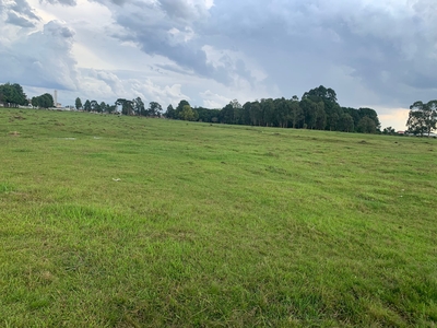 Terreno em Guatupê, São José dos Pinhais/PR de 67000m² à venda por R$ 10.048.000,00