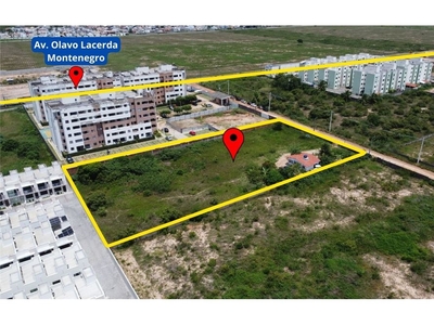 Terreno em Parque das Árvores, Parnamirim/RN de 5000m² à venda por R$ 897.900,00