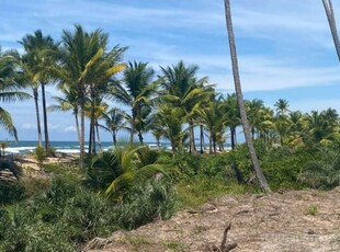 Excelente lote à venda taipu de fora - próximo à barra grande