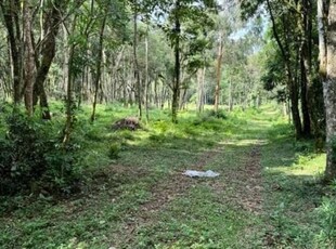 Terreno à venda na rodovia br-376, contenda, são josé dos pinhais por r$ 1.600.000