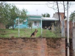 Terreno fazenda são borja são leopoldo