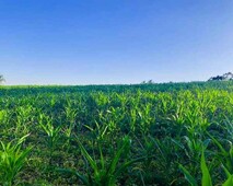 Lote/Terreno para venda tem 500 metros quadrados em Verava - Ibiúna - SP