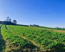 Terrenos em Ibiúna com Fácil Acesso a Osasco SP