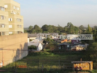 Terreno à venda Avenida Dorival Cândido Luz de Oliveira, Parque Florido - Gravataí