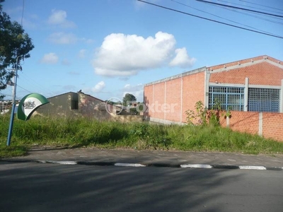 Terreno à venda Rua Doutor Luís Bastos do Prado, Centro - Gravataí