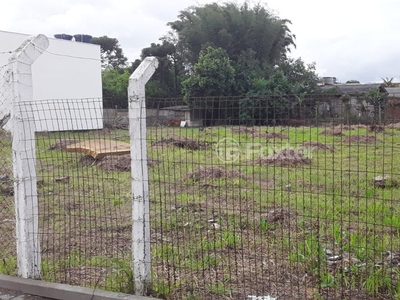 Terreno à venda Rua Palmeiras, Vera Cruz - Gravataí