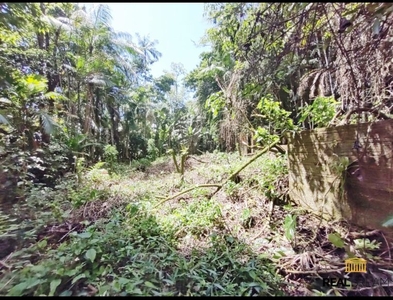 Terreno no Bairro Passo Manso em Blumenau com 86309.33 m²