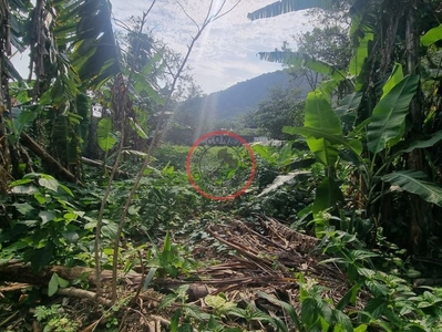 Terreno à venda no bairro Boiçucanga em São Sebastião