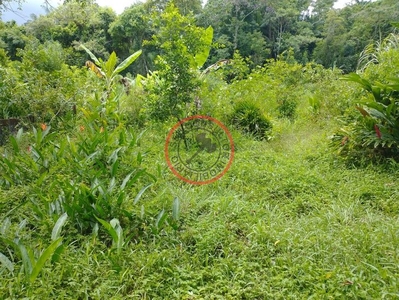 Terreno à venda no bairro Camburi em São Sebastião