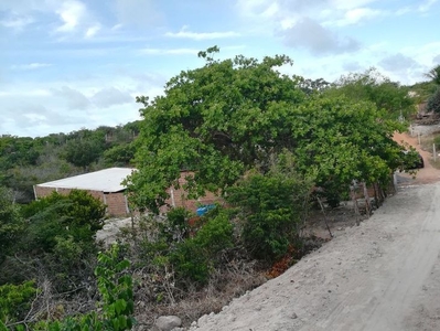 Terreno à venda no bairro Praia de Pipa em Tibau do Sul