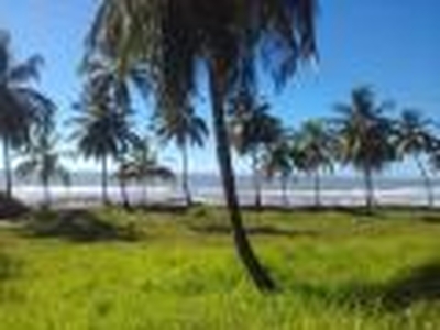 VENDO LOTES EM FRENTE AO MAR EM OLIVENCA -ILHEUS - BAHIA