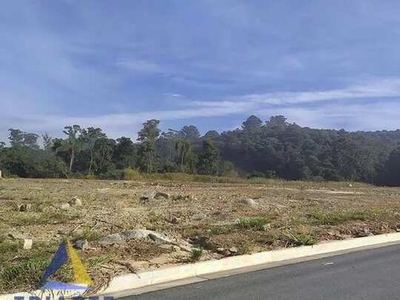 Terreno para alugar, 3000 m² por R$ 52.900/mês - Parque Santa Luzia - Barueri/SP