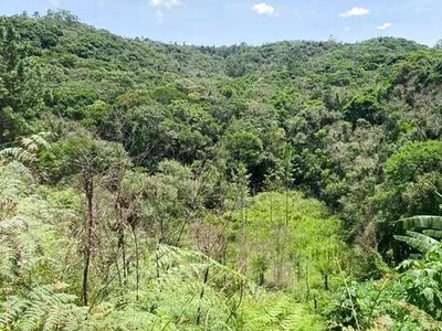 Terreno pronto para construir 20.000m2 - Juquitiba