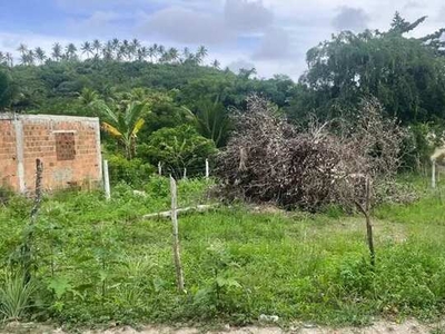 Terreno próximo à estrada de Mangue Seco em Igarassu