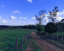 Fazenda em Rondon do Pará