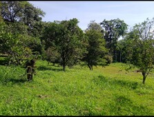 Terreno no Bairro Passo Manso em Blumenau com 3000 m²