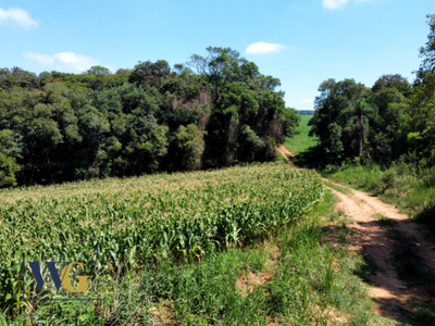 Chácara em Colônia Balbino Cunha, Campo Largo/PR de 5000m² 1 quartos à venda por R$ 168.000,00