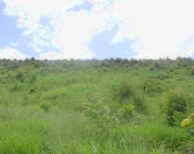 Terreno com uma linda vista!