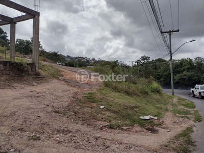 Terreno à venda Avenida Professor Oscar Pereira, Cascata - Porto Alegre